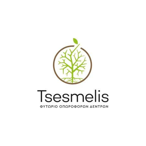 tsesmelis